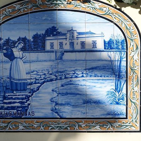 Cadima Casa Aguas Mansas B&B 외부 사진